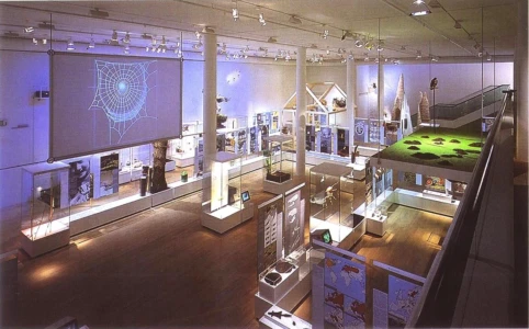 96 15 Naturhistorisches Museum Bern 05